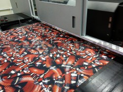 Прекрасные змеи